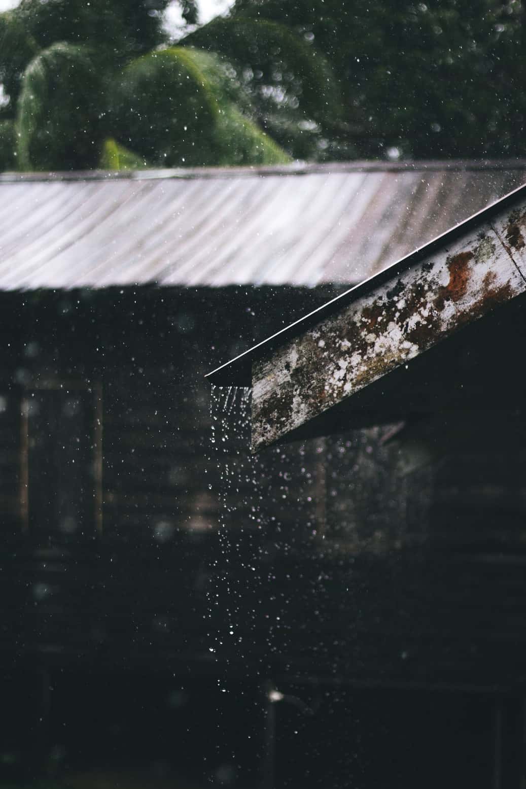 Rain water harvesting